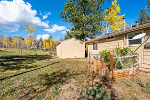 196 Beaver Trail, Bailey, CO 80421 - Photo 9
