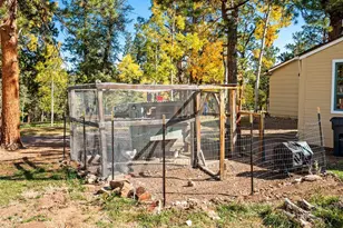 196 Beaver Trail, Bailey, CO 80421 - Photo 37