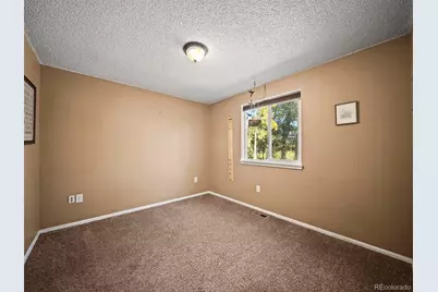 196 Beaver Trail, Bailey, CO 80421 - Photo 33