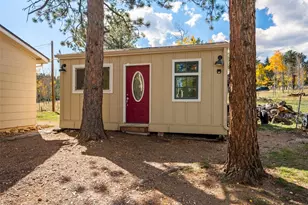 196 Beaver Trail, Bailey, CO 80421 - Photo 39