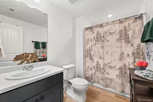 91 Lullaby Ln, Castle Rock, CO 80109 - Photo 39