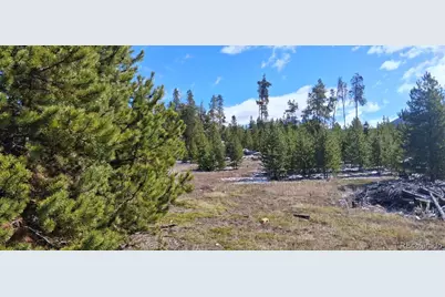 164 County Road 443, Grand Lake, CO 80447 - Photo 7
