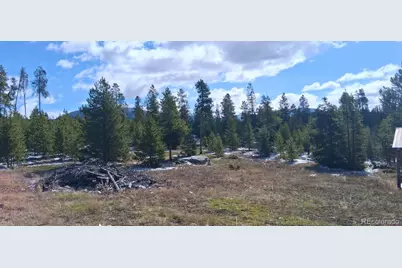 164 County Road 443, Grand Lake, CO 80447 - Photo 3