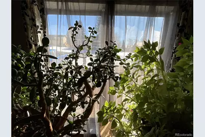 506 E 9th Street, Leadville, CO 80461 - Photo 7