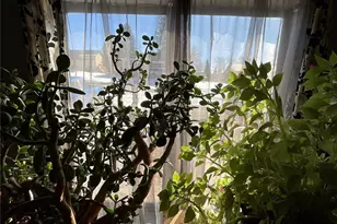 506 E 9th St, Leadville, CO 80461 - Photo 7