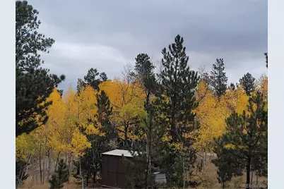 1080 Brahma Circle, Hartsel, CO 80449 - Photo 19