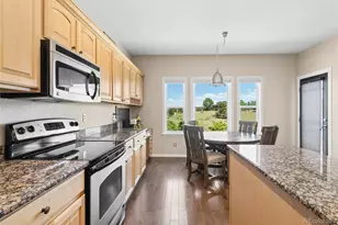 11774 Pine Hill St, Parker, CO 80138 - Photo 11
