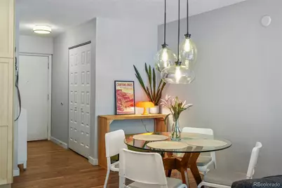 700 N Washington Street #205, Denver, CO 80203 - Photo 3