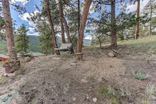 304 Virginia Rd, Bailey, CO 80421 - Photo 21