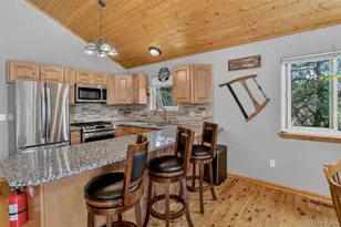 304 Virginia Rd, Bailey, CO 80421 - Photo 5