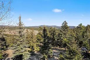 29359 Buchanan Dr, Evergreen, CO 80439 - Photo 9