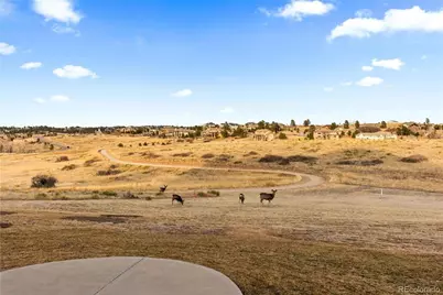 9298 Spirit Court, Parker, CO 80138 - Photo 39