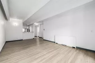 1265 Race St, Denver, CO 80206 - Photo 13