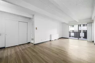 1265 Race St, Denver, CO 80206 - Photo 9