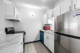 1265 Race St, Denver, CO 80206 - Photo 3