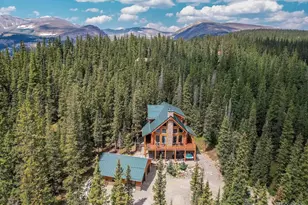 395 Miners Way, Fairplay, CO 80440 - Photo 41