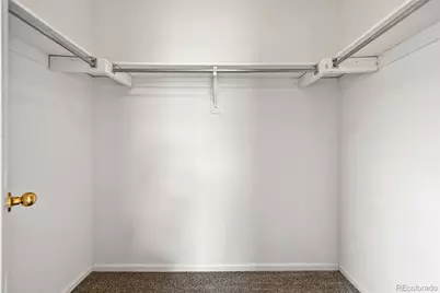 1252 Carlyle Park Circle, Highlands Ranch, CO 80129 - Photo 17