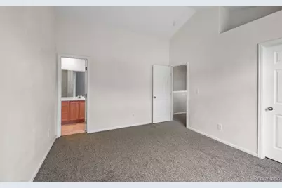 1252 Carlyle Park Circle, Highlands Ranch, CO 80129 - Photo 19