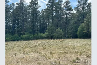 [Address not provided], Beulah, CO  - Photo 13