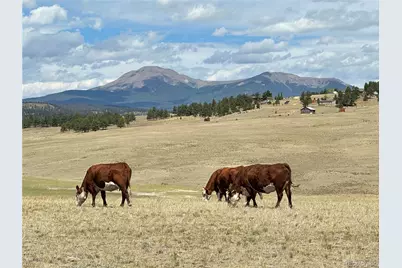 3255 Ranch Road, Hartsel, CO 80449 - Photo 29