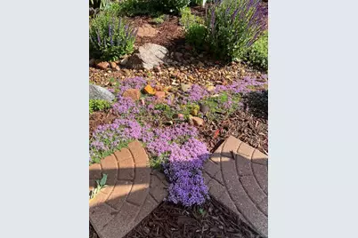 14881 E 116th Drive, Commerce City, CO 80603 - Photo 29