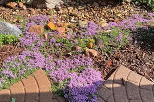 14881 E 116th Dr, Commerce City, CO 80603 - Photo 29