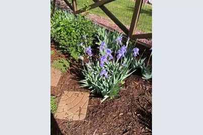 14881 E 116th Drive, Commerce City, CO 80603 - Photo 27