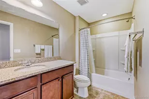 10001 Hough Point, Parker, CO 80134 - Photo 19