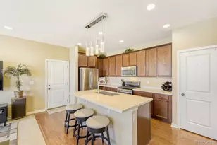 10001 Hough Point, Parker, CO 80134 - Photo 13