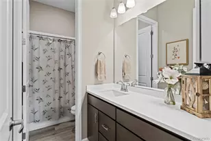 2896 Keepsake Wy, Castle Rock, CO 80109 - Photo 19
