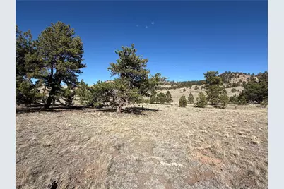616 Guipago Trail, Hartsel, CO 80449 - Photo 3