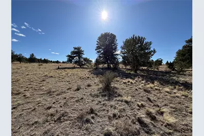 616 Guipago Trail, Hartsel, CO 80449 - Photo 15
