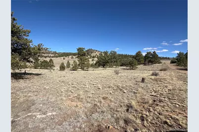 616 Guipago Trail, Hartsel, CO 80449 - Photo 5