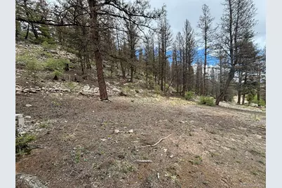 225 Trout Creek Lane, Fairplay, CO 80440 - Photo 7