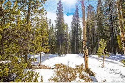 122 Arts Pike, Fairplay, CO 80440 - Photo 19