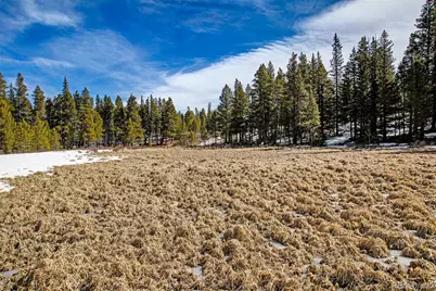 122 Arts Pike, Fairplay, CO 80440 - Photo 29