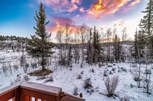 315 Haida Ln, Como, CO 80432 - Photo 41