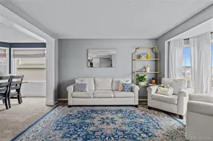 9717 S Bexley Dr, Highlands Ranch, CO 80126 - Photo 7