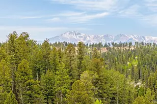 8855 Carroll Lakes Rd, Woodland Park, CO 80863 - Photo 3