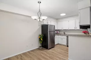 203 Wright St, Lakewood, CO 80228 - Photo 9