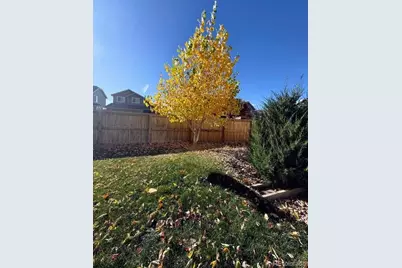 19590 Glendale Lane, Parker, CO 80134 - Photo 29