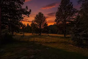 31280 Florence Rd, Conifer, CO 80433 - Photo 1