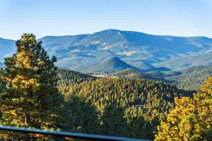 33958 Running Bear Trail, Pine, CO 80470 - Photo 43