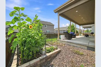 6500 Agave Avenue, Castle Rock, CO 80108 - Photo 43