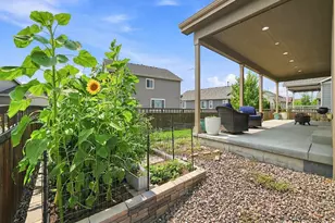 6500 Agave Ave, Castle Rock, CO 80108 - Photo 43