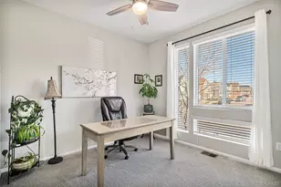 9055 Swan River St, Littleton, CO 80125 - Photo 9