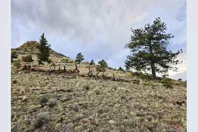Pcs#25468 Sioux Road, Hartsel, CO 80449 - Photo 21