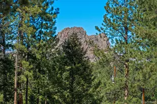 20202 Spring Creek Trail, Pine, CO 80470 - Photo 11