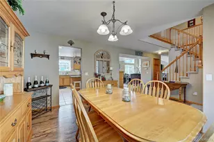 8453 Bed Straw St, Parker, CO 80134 - Photo 5