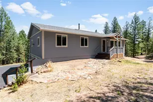9790 S Warhawk Rd, Conifer, CO 80433 - Photo 5